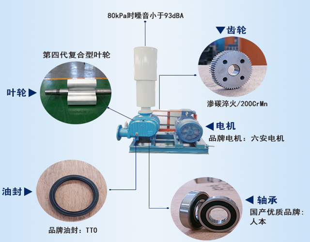 羅茨鼓風(fēng)機(jī)結(jié)構(gòu)圖